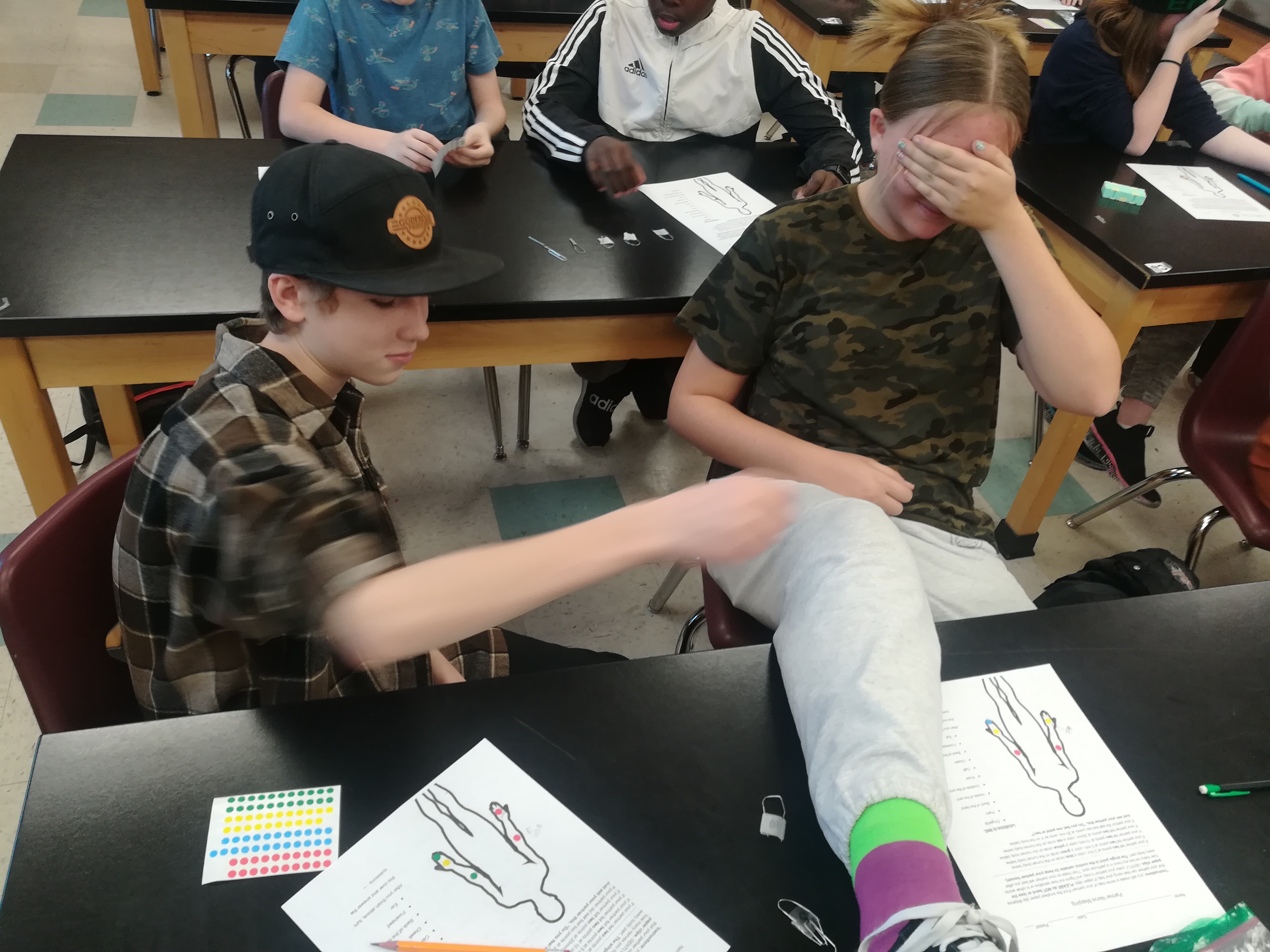 Students testing nerve receptors