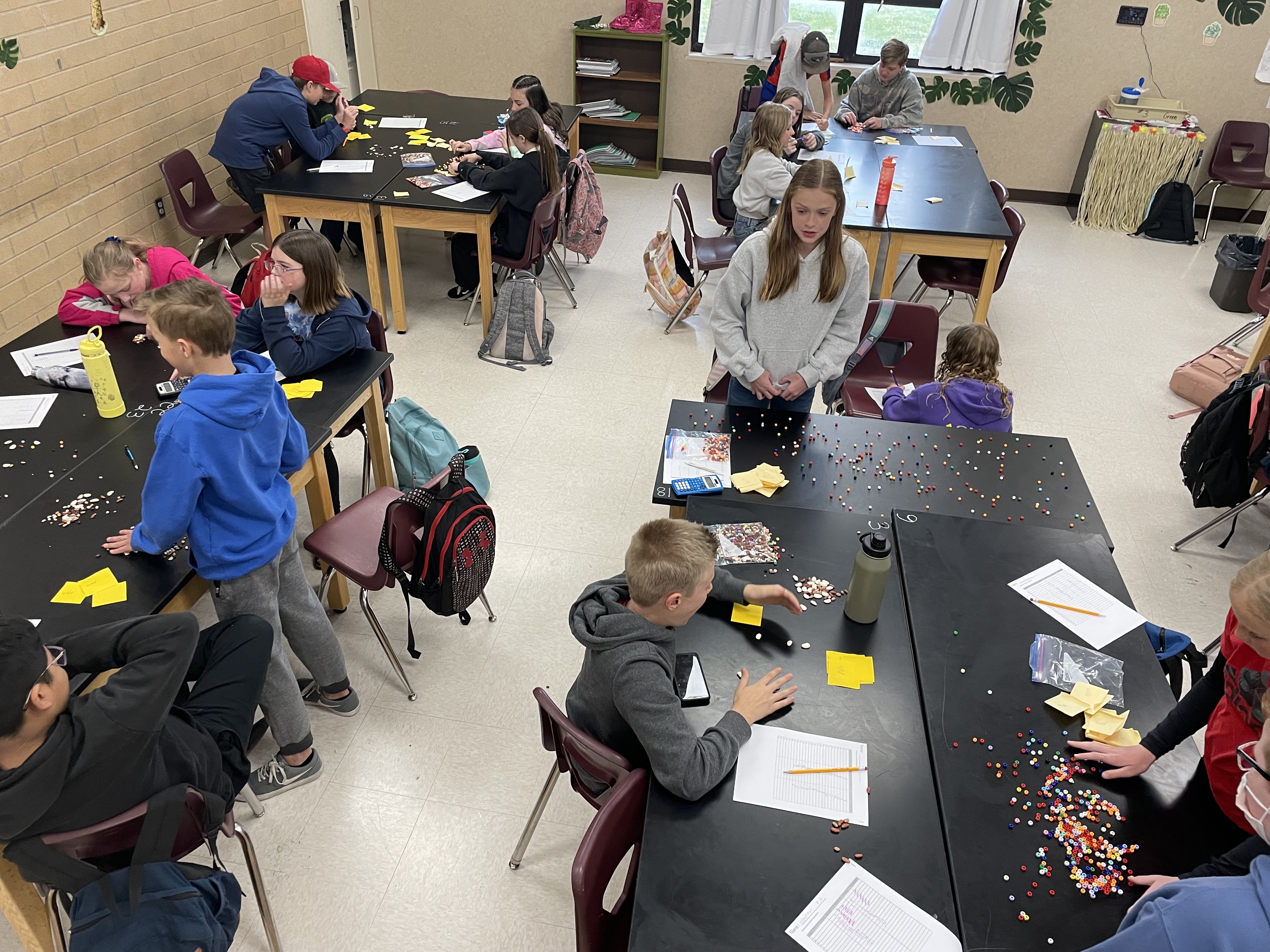Students explore population in science