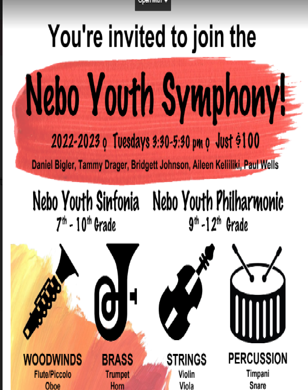 Youth Symphony Flyer nNformation